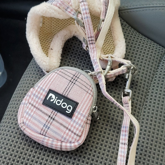 Dog ๐ walker - Picture 3 of 4